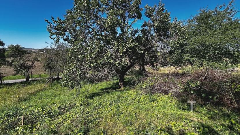 Prodej zahrady, Kyjov, 1046 m2