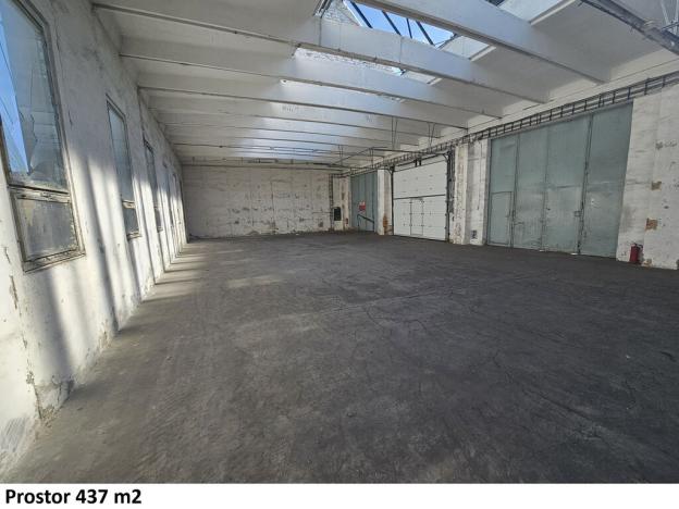 Pronájem skladu, Opava - Předměstí, Těšínská, 8925 m2
