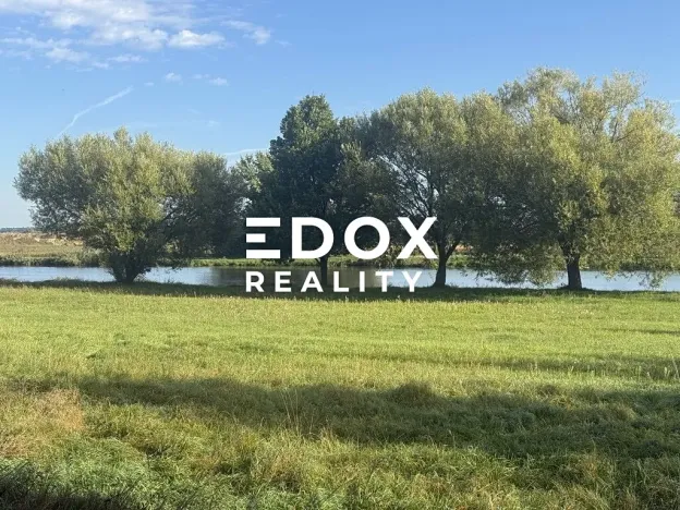 Pronájem zahrady, Záryby, 2094 m2