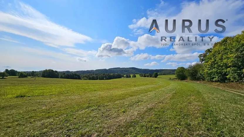 Prodej louky, Blatno, 34886 m2