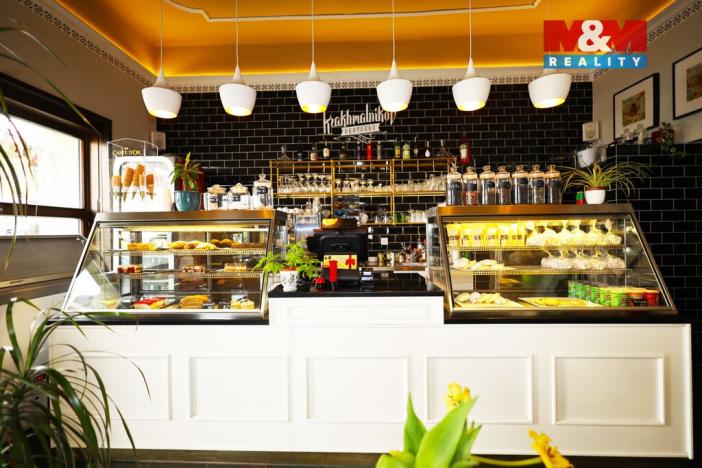 Pronájem restaurace, Karlovy Vary, Dr. Davida Bechera, 113 m2