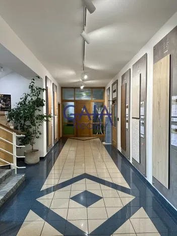 Pronájem kanceláře, Hodonín, Brněnská, 53 m2