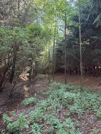 Prodej pozemku, Trutnov, 26242 m2