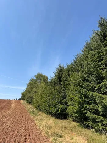 Prodej pozemku, Trutnov, 26242 m2