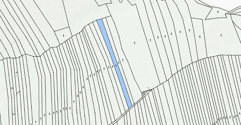 Prodej lesa, Ločenice, 5657 m2