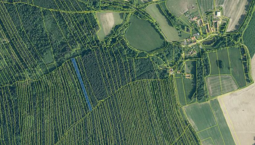 Prodej lesa, Ločenice, 5657 m2