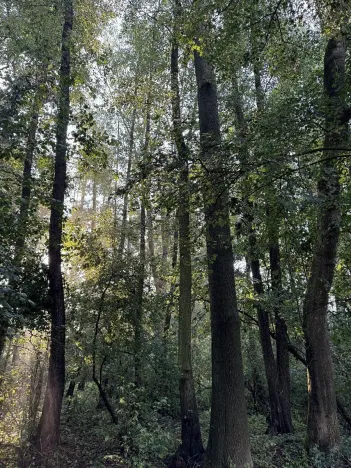 Prodej podílu pozemku, Bohuslavice, 2784 m2