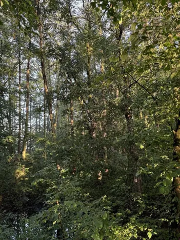 Prodej podílu pozemku, Bohuslavice, 2784 m2