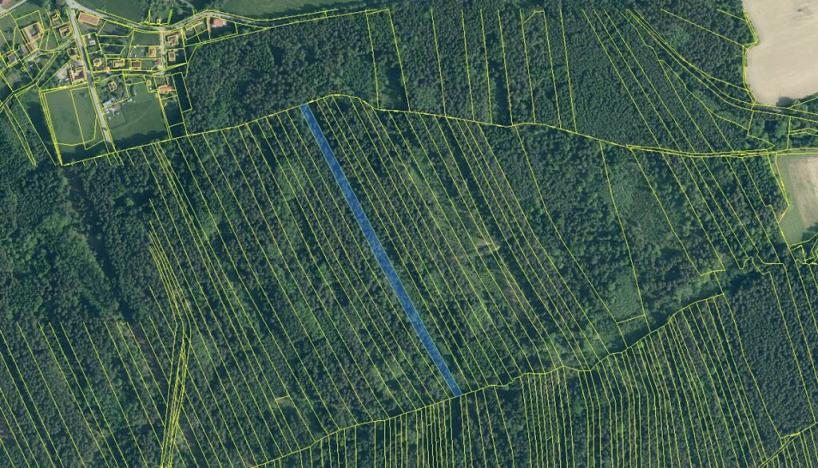 Prodej lesa, Ločenice, 8295 m2