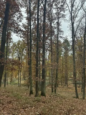 Prodej podílu pozemku, Dolní Lukavice, 43384 m2