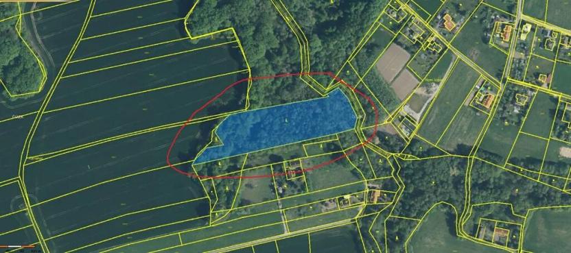 Prodej lesa, Bohumín, 12496 m2