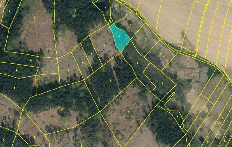 Prodej podílu lesa, Smilovy Hory, 938 m2