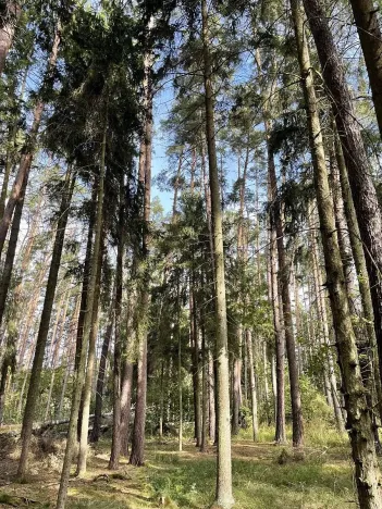 Prodej podílu pozemku, Velký Ratmírov, 3510 m2