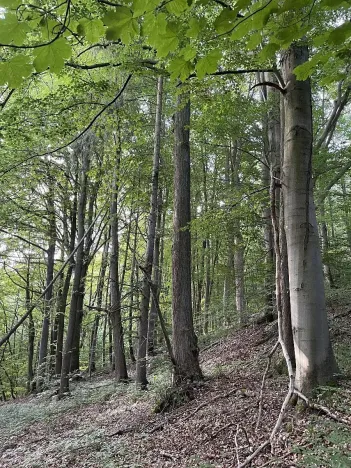 Prodej pozemku, Útěchov, 50152 m2