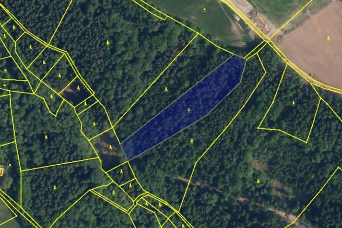 Prodej podílu lesa, Malá Skála, 3582 m2