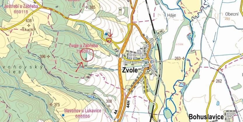 Prodej lesa, Zvole, 1730 m2