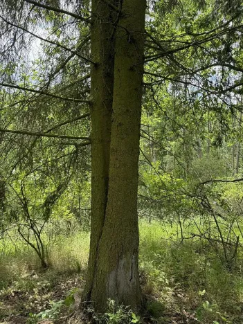 Prodej podílu pozemku, Suchdol, 9027 m2