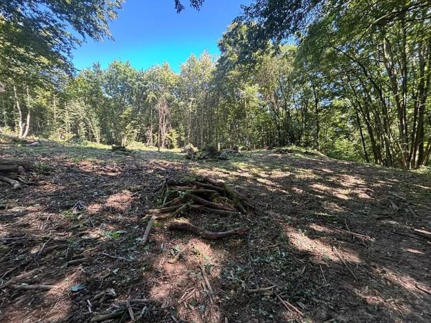 Prodej zahrady, Zlín, 1985 m2