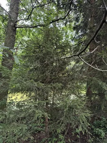 Prodej podílu pozemku, Kojice, 4807 m2