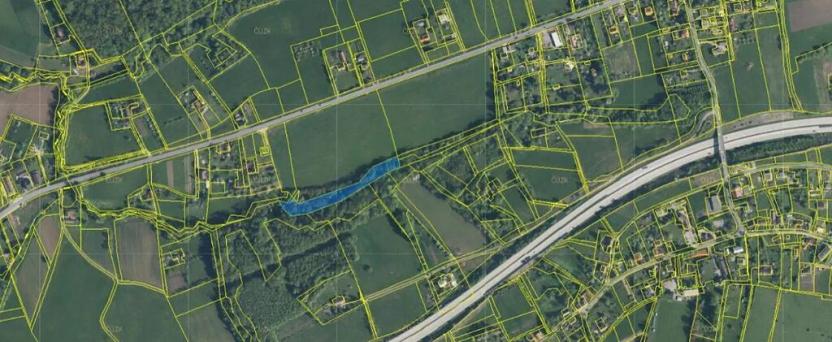 Prodej lesa, Český Těšín, 5193 m2