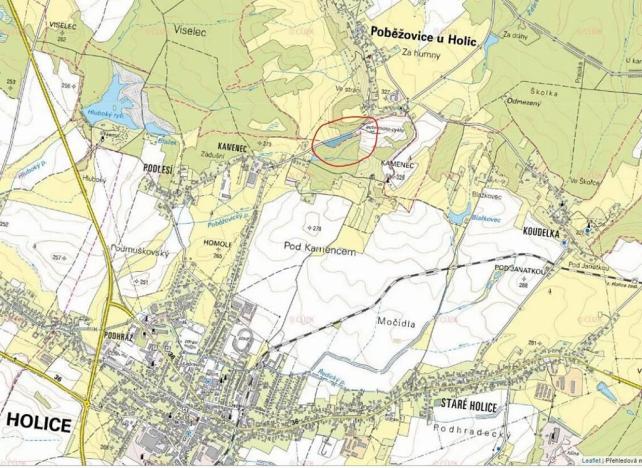 Prodej podílu lesa, Poběžovice u Holic, 4756 m2