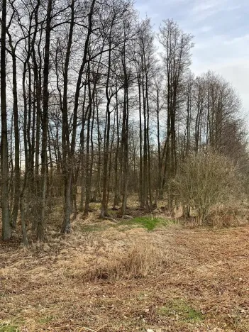 Prodej pozemku, Černá u Bohdanče, 3460 m2