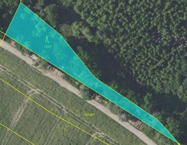 Prodej lesa, Vlašim, 3990 m2