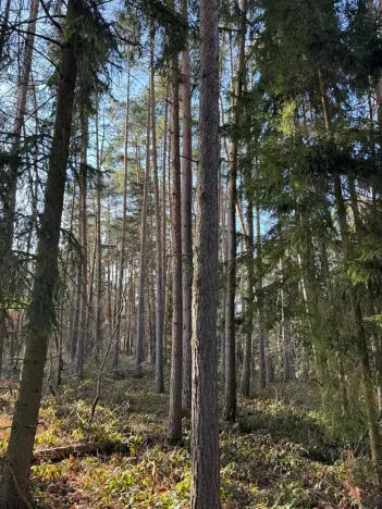 Prodej pozemku, Slabčice, 13278 m2