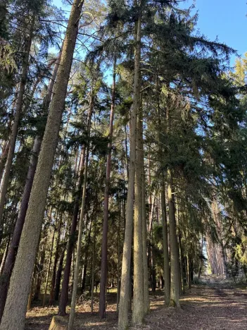 Prodej pozemku, Slabčice, 13278 m2