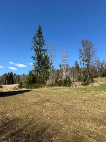 Prodej podílu pozemku, Studená, 18432 m2