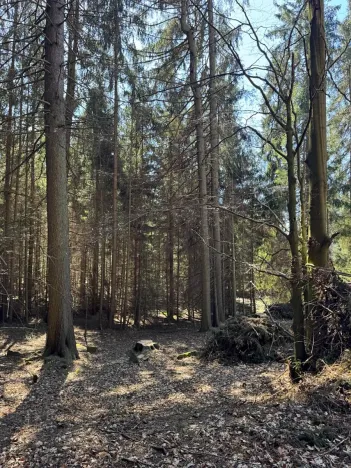 Prodej podílu pozemku, Studená, 18432 m2