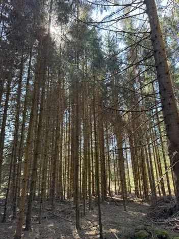 Prodej podílu pozemku, Studená, 18432 m2