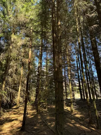 Prodej podílu pozemku, Studená, 18432 m2