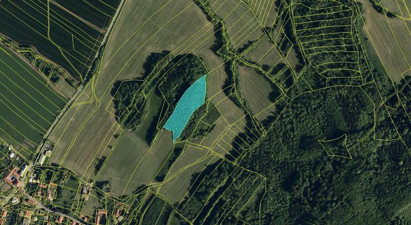 Prodej lesa, Starý Jičín, 12582 m2