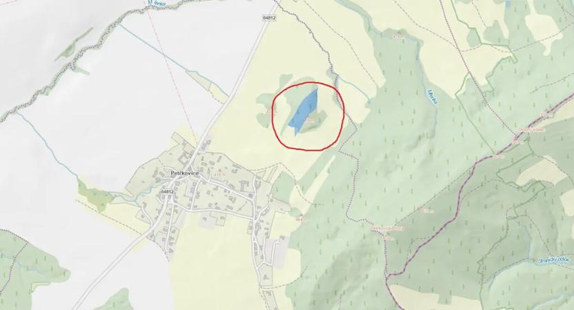 Prodej lesa, Starý Jičín, 12582 m2