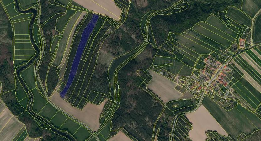 Prodej lesa, Náměšť nad Oslavou, 16948 m2