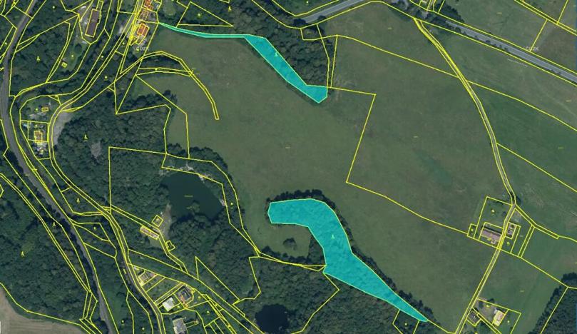 Prodej podílu lesa, Žulová, 7174 m2