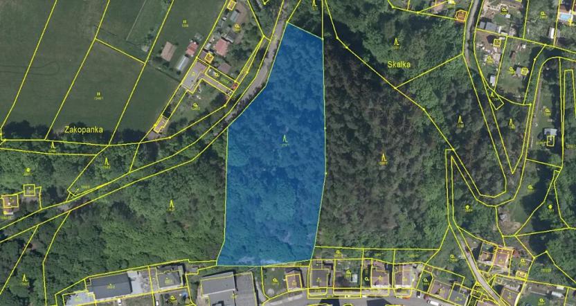 Prodej lesa, Úpice, 7765 m2