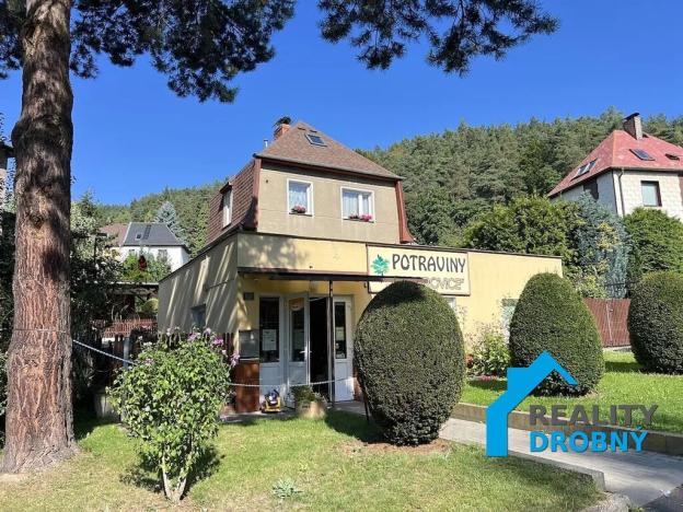 Prodej rodinného domu, Děčín, Na Pěšině, 205 m2