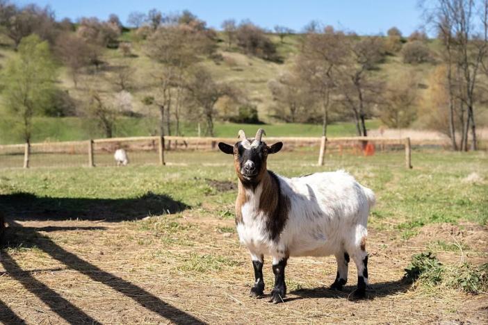 Prodej rodinného domu, Slavkov u Brna, 105 m2