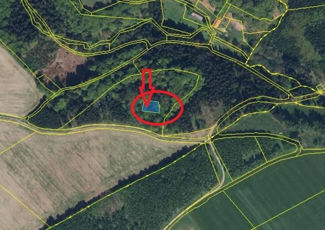 Prodej podílu lesa, Liberk, 5585 m2