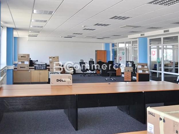 Pronájem kanceláře, Brno, 255 m2