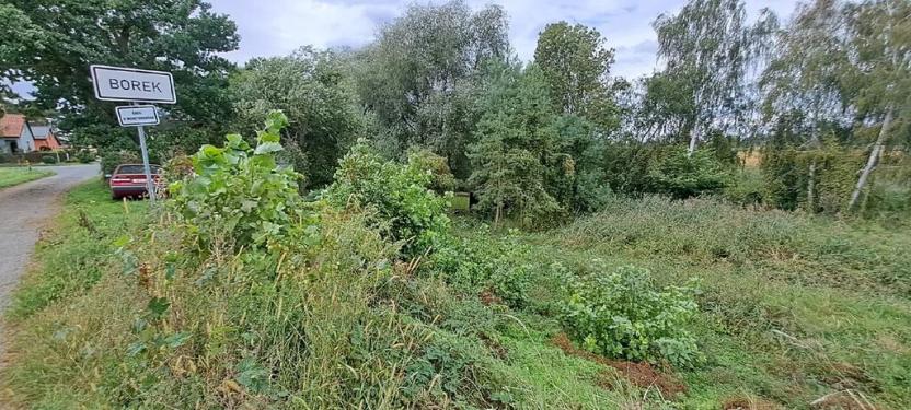 Prodej zahrady, Borek, 3737 m2