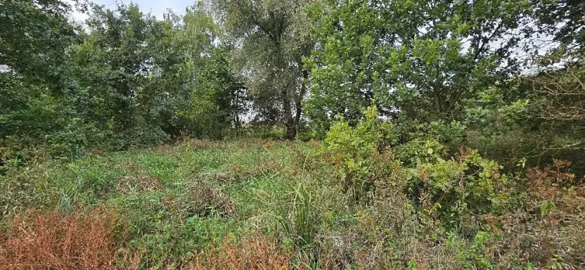 Prodej zahrady, Borek, 3737 m2