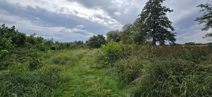 Prodej zahrady, Borek, 3737 m2