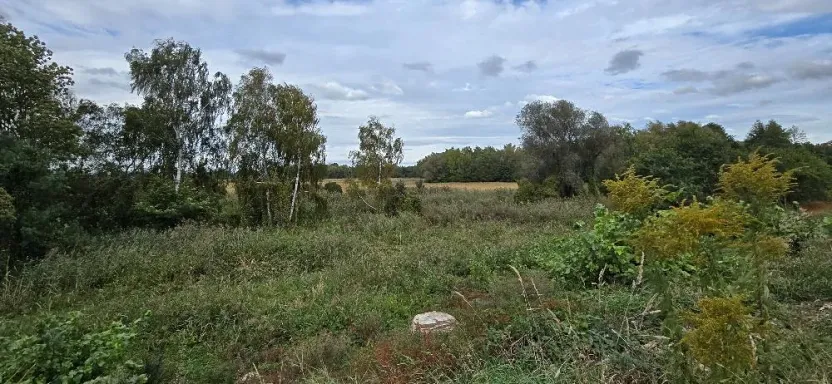 Prodej zahrady, Borek, 3737 m2