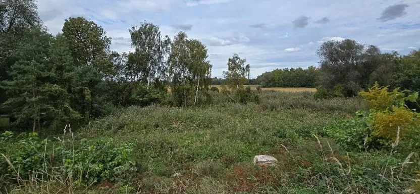 Prodej zahrady, Borek, 3737 m2