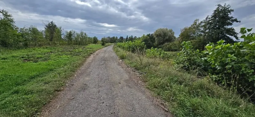 Prodej zahrady, Borek, 3737 m2