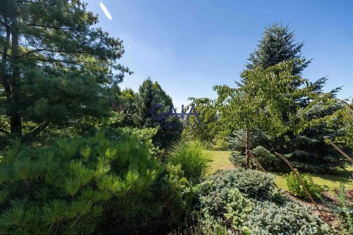 Prodej rodinného domu, Strážovice, 354 m2