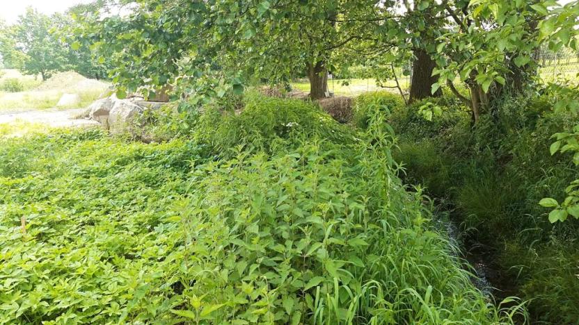 Prodej pozemku, Nová Hradečná, 244 m2